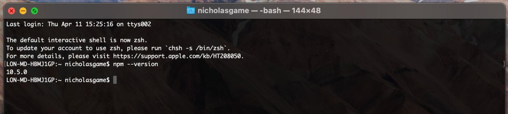 npm version